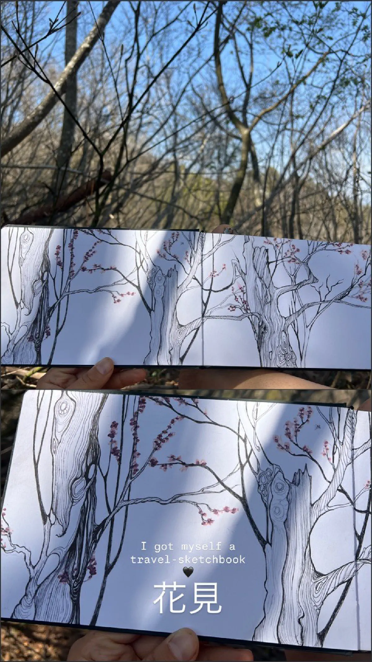 Sketches