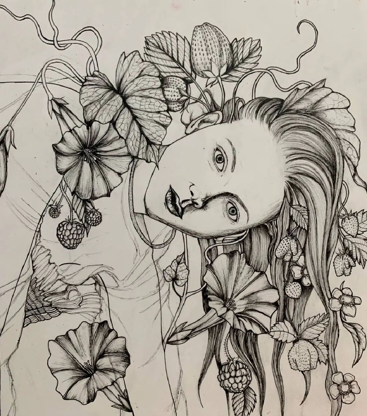 Sketches