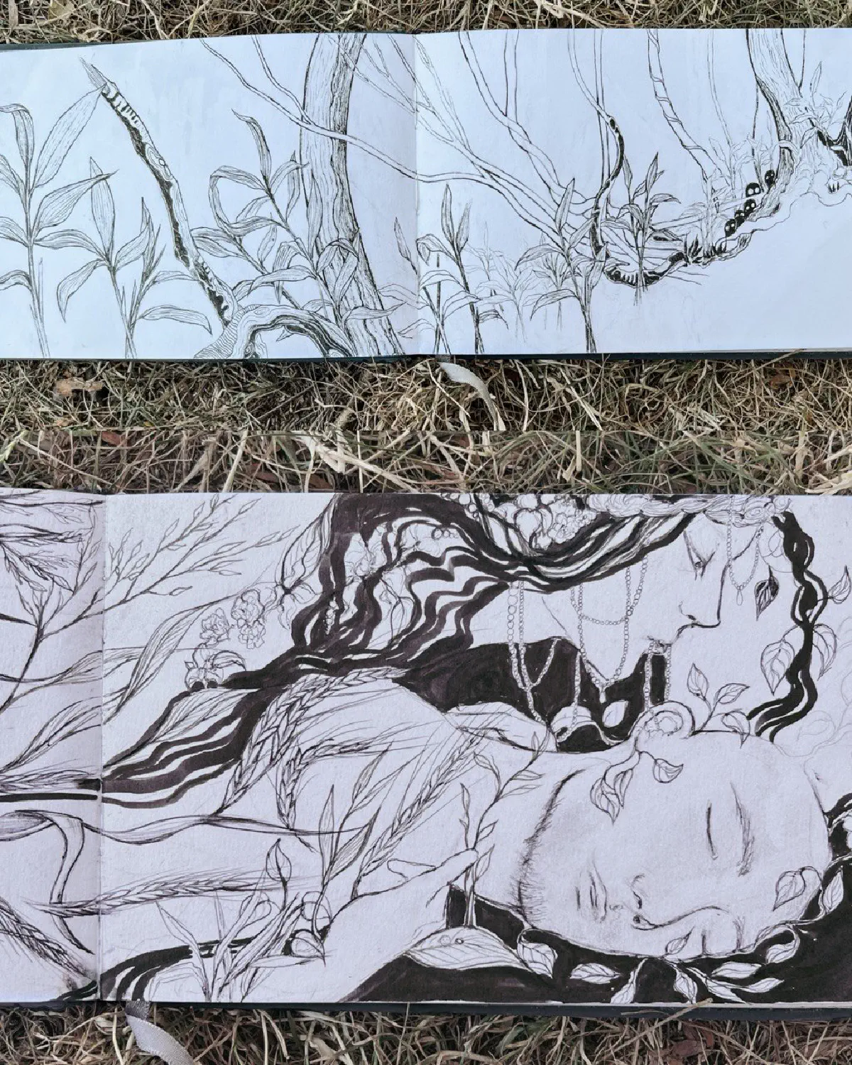 Sketches