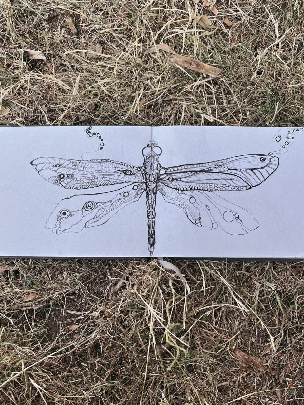 Sketches