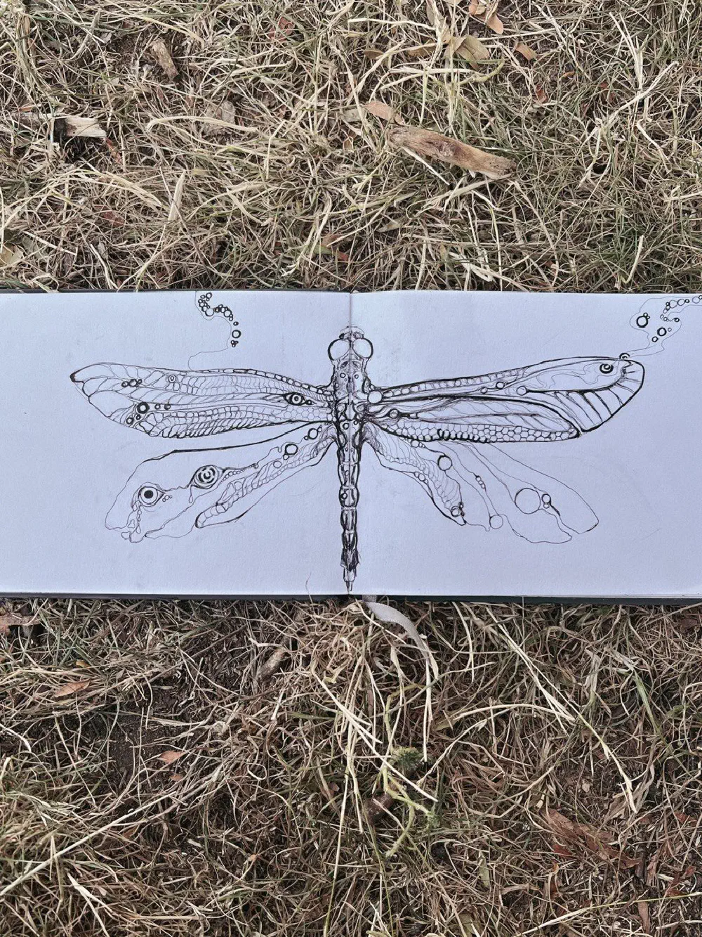 Firelfy — ballpoint pen and ink on paper