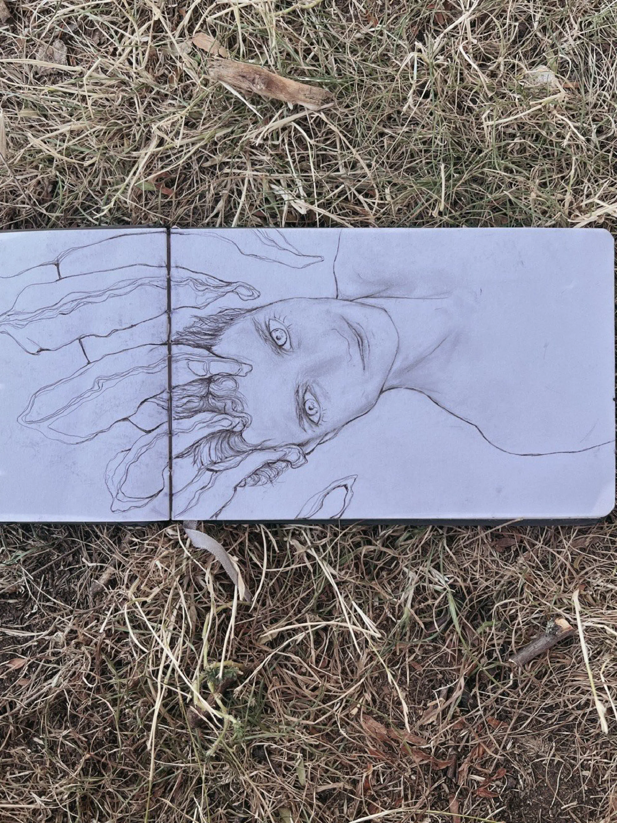 pinned — ballpoint pen on paper