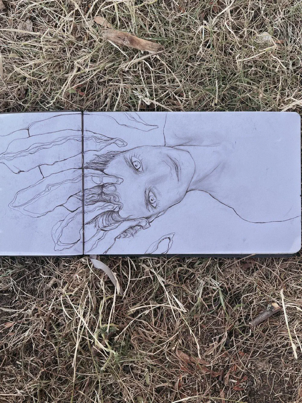 pinned — ballpoint pen on paper